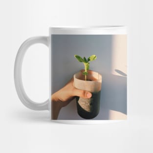 Sunflower Seeds Mug